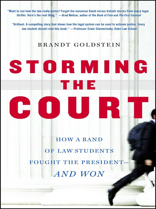 Title details for Storming the Court by Brandt Goldstein - Wait list